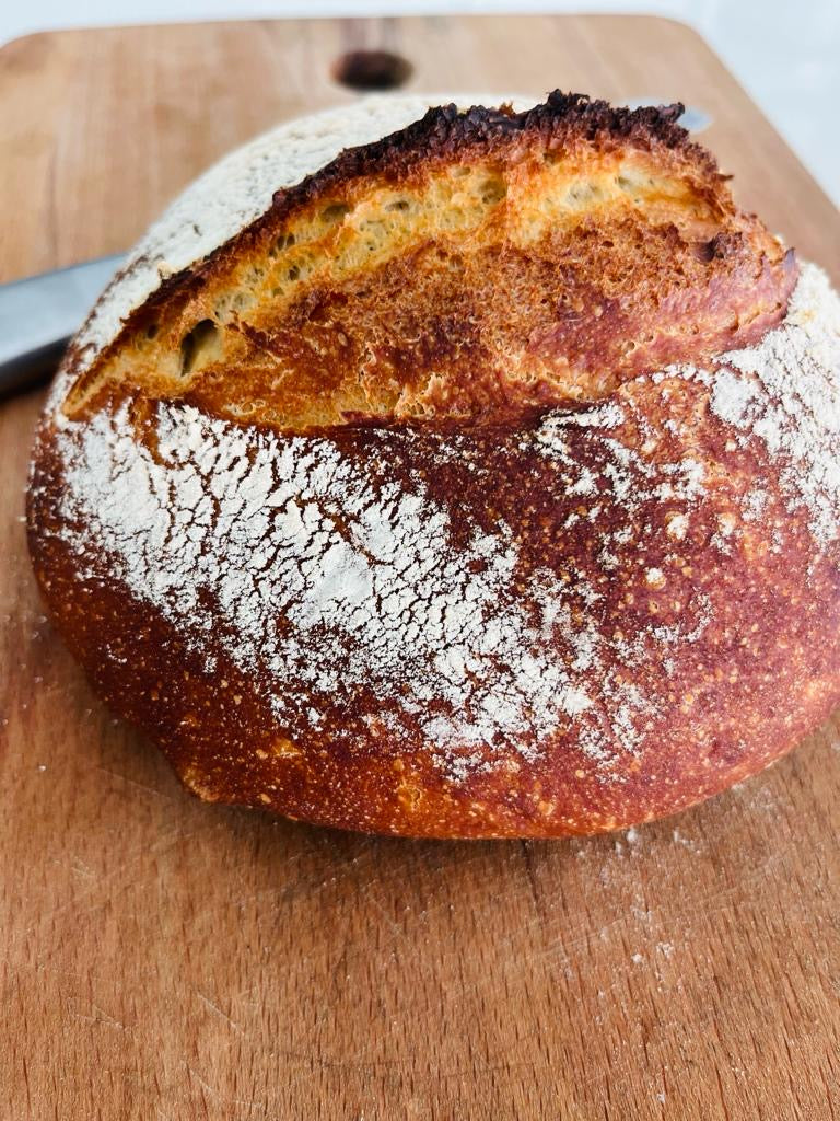 Quick and Easy No-Knead Sourdough Bread